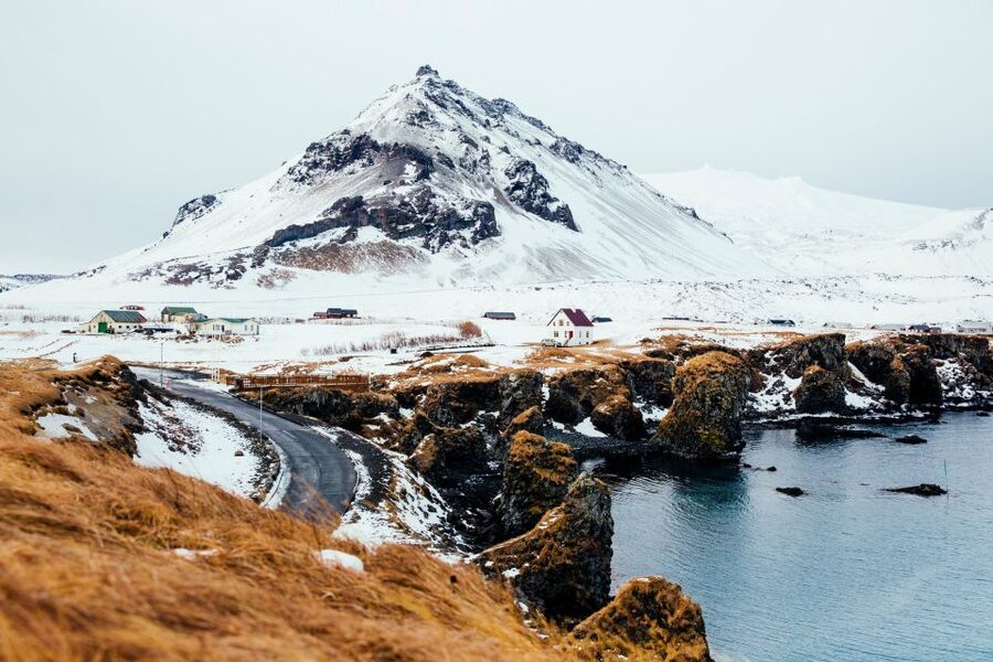 From Reykjavik: Snæfellsnes Full-Day Tour with Homemade Meal - Ytri Tunga seals: wildlife viewing that feels easy