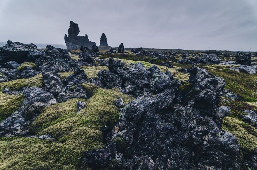 From Reykjavik: Snæfellsnes Full-Day Tour with Homemade Meal - Arnarstapi sea cliffs and the fishing-village feel