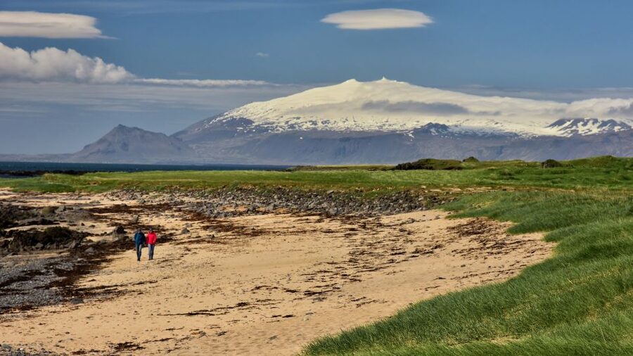 From Reykjavik: Snaefellsnes - Small Group, Lunch Included - Ytri Tunga seal viewing: wildlife without the circus