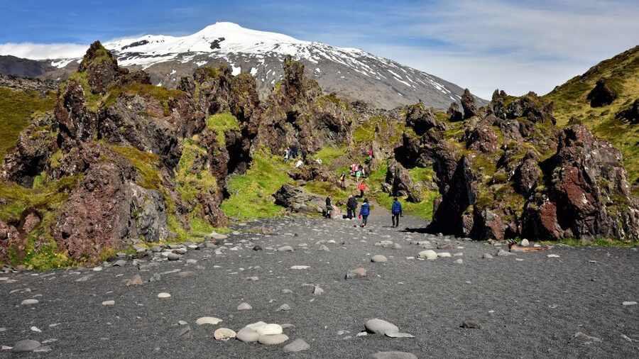 From Reykjavik: Snaefellsnes - Small Group, Lunch Included - Arnarstapi: bird cliffs, coastal drama, and the small-town feel