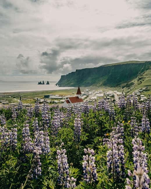 From Reykjavík: South Coast Highlights Day Tour - Key highlights you should care about
