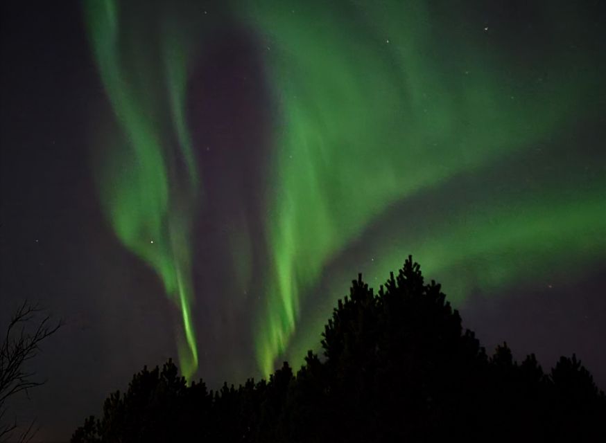 From Reykjavík: Spot the Northern Lights with Snacks & Drink - Price and Value: Is $207 Worth It?