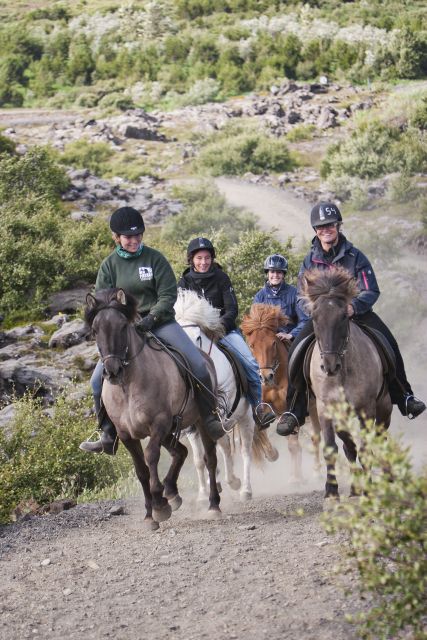 From Reykjavík: Viking Horseback Tour in Hafnarfjörður - The 3-hour experience: what you do in the saddle
