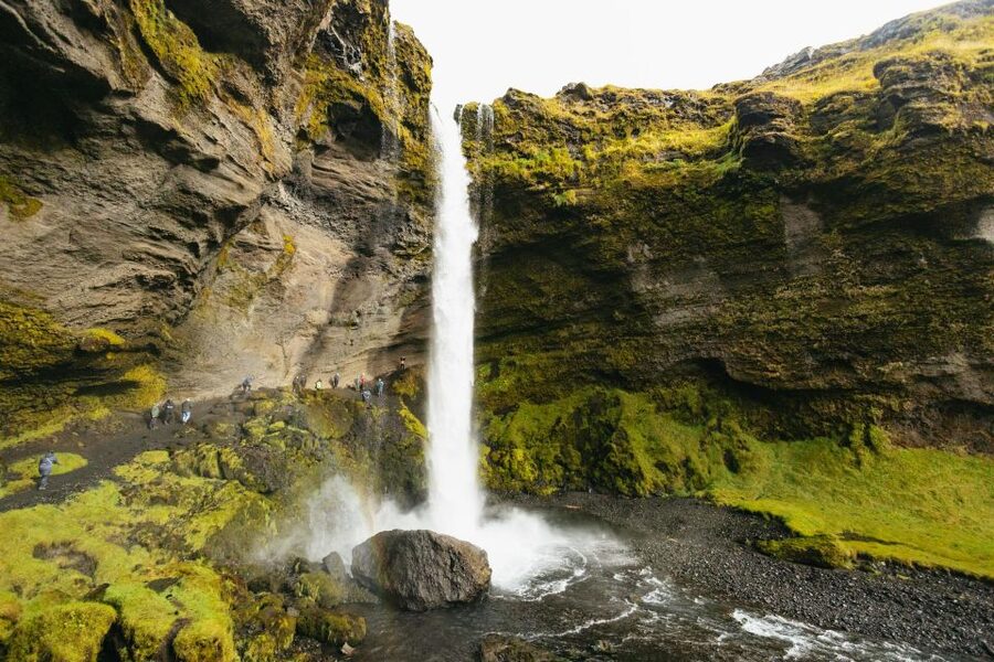 From Reykjavík: Waterfalls, Black Beach & Glacier Day Trip - Optional Solheimajokull Glacier Hike: The One Add-On Worth Picking