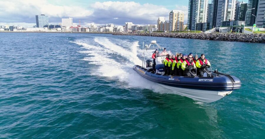 From Reykjavik: Whale Watching Tour by Speedboat - From Reykjavik Old Harbor to Faxaflói Bay: The 2-Hour Flow