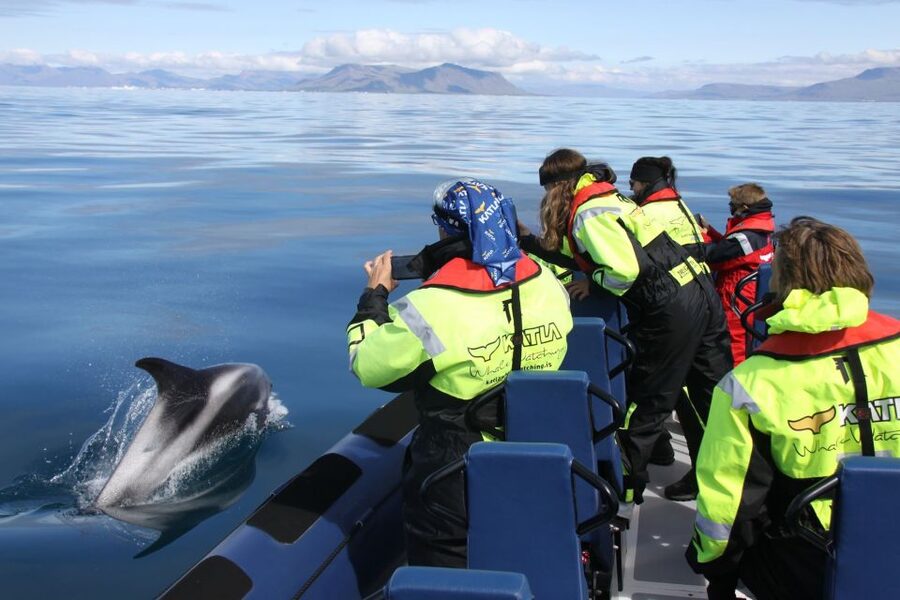 From Reykjavik: Whale Watching Tour by Speedboat - The New 12-Seat RIB Ride: Comfort, Safety, and Why It Can Be Rough