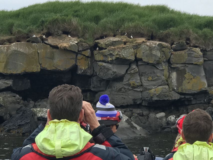 From Reykjavik: Whale Watching Tour by Speedboat - Weather, Clothing, and Footwear Rules You Should Not Ignore