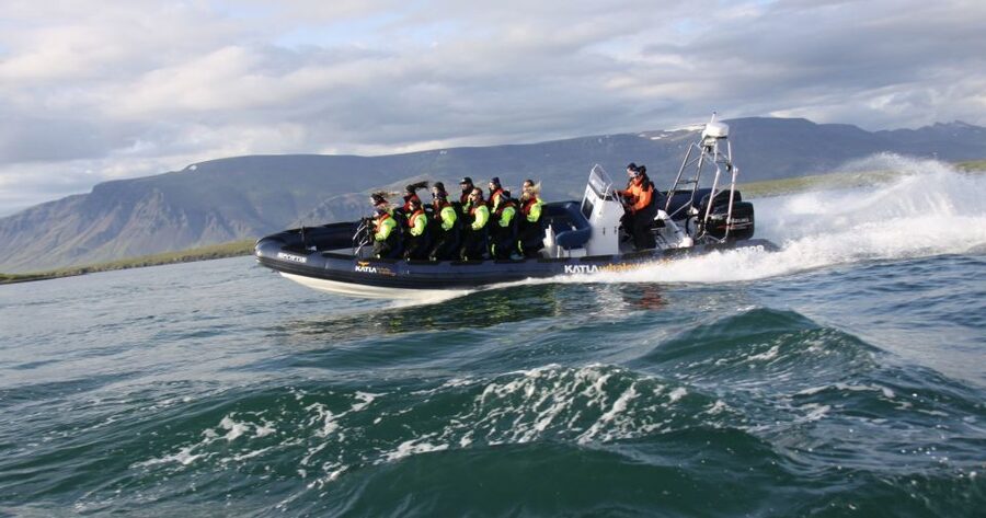 From Reykjavik: Whale Watching Tour by Speedboat - Price and Value: Is $192 Worth a RIB Whale Tour?