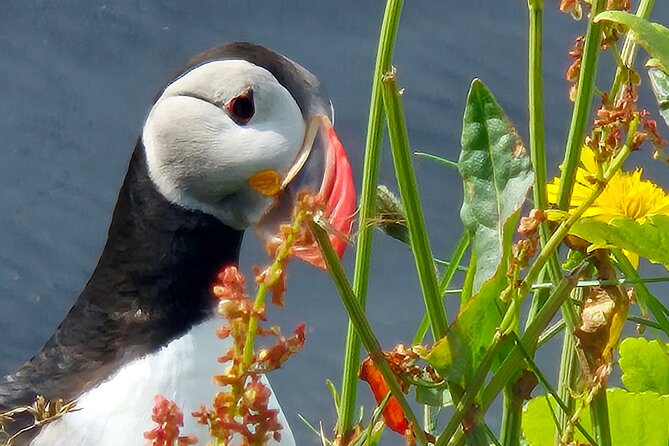 Full Day Private South Coast Tour of Iceland - Vík: A Small Coastal Village With Big Ocean Views