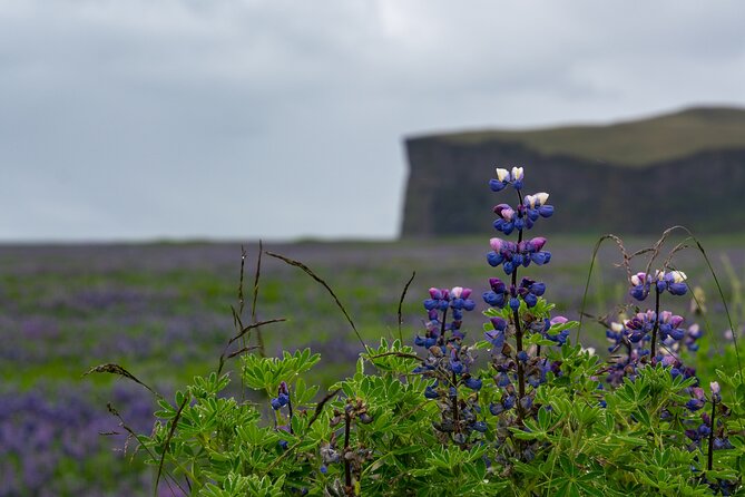 Full-Day Private Tour to Explore South Coast of Iceland - Key things that make this South Coast private day work