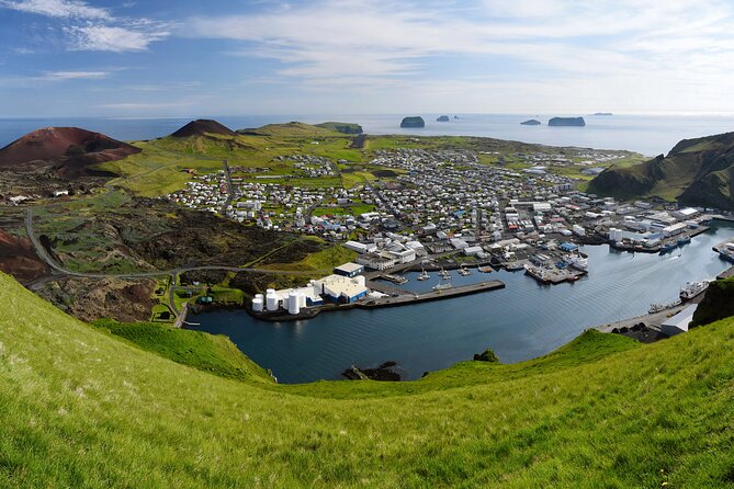 Full Day Private Westman Island Tour from Reykjavik - Price and Logistics: When $1,850 Per Group Feels Like Good Value