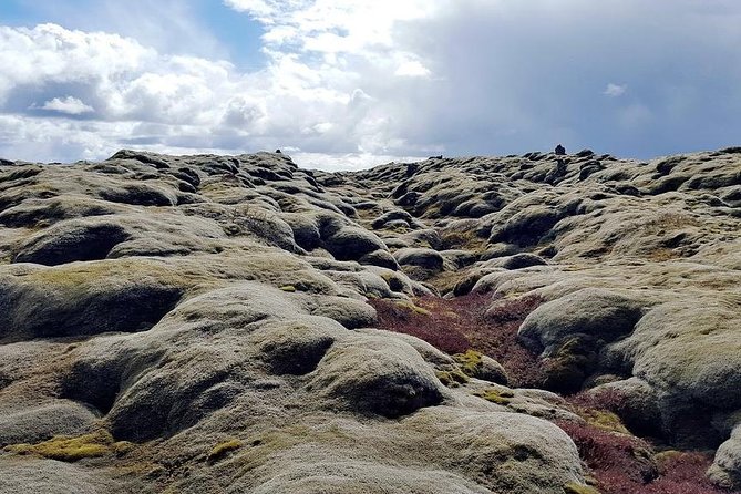 Glacier Lagoon & South Coast. Private Day Tour - Timing, weather, and what to pack for a full day