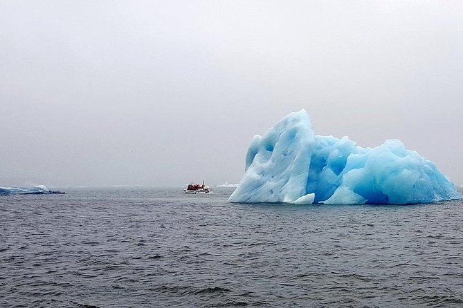 Glacier Lagoon & South Coast. Private Day Tour - Price and value: where the money goes on a private tour