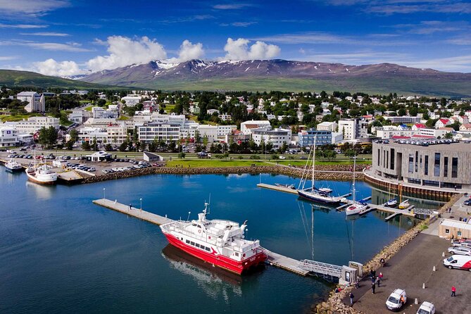 Goðafoss Waterfall & Forest Lagoon from Akureyri Port - Why this Godafoss and Forest Lagoon combo makes sense from Akureyri