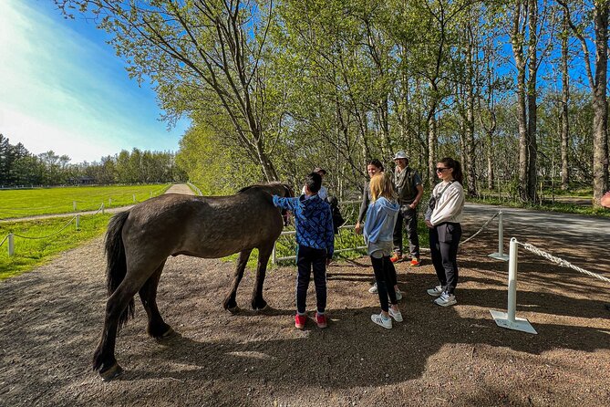 Golden Circle and Lunch at Fridheimar Tomato Farm - with photos - Small-group size and why your guide matters on this route