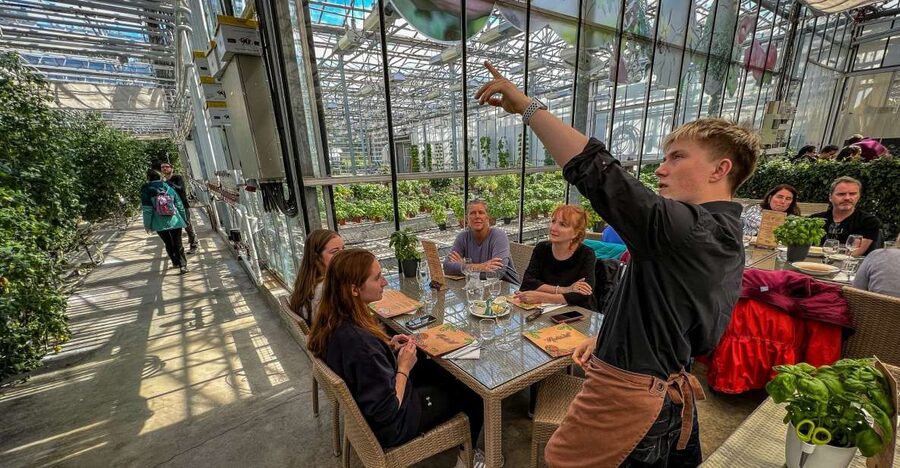 Golden Circle & Lunch at Fridheimar Tomato Farm- with photos - Friðheimar Tomato Farm Late Lunch: The Meal That Changes Your Opinion