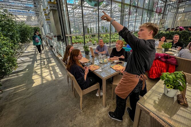 Golden Circle Silfra Snorkeling and Fridheimar Tomato Farm Lunch - A one-day Golden Circle that actually has a wow factor