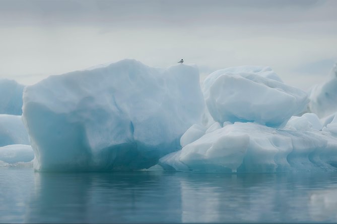 Guided Glacier Lagoon and Diamond Beach Day Trip from Reykjavik - Skógafoss: The Waterfall That Turns Into a Rainbow Machine