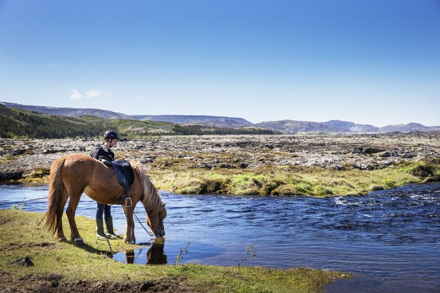 Hafnarfjörður: Horseback Riding Tour in Reykjavik Area - Key highlights I’d put on your must-do list