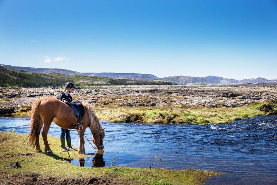 Hafnarfjörður: Horseback Riding Tour in Reykjavik Area - First Stop: Sörlaskeið 26 and Settling In at Íshestar