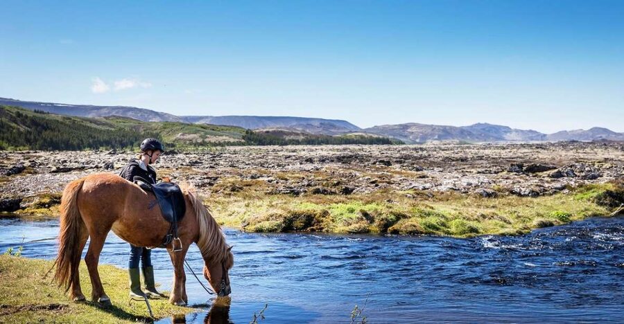 Hafnarfjörður: Horseback Riding Tour in Reykjavik Area - Riding Through Moss-Covered Lava Fields, with Bláfjöll in View