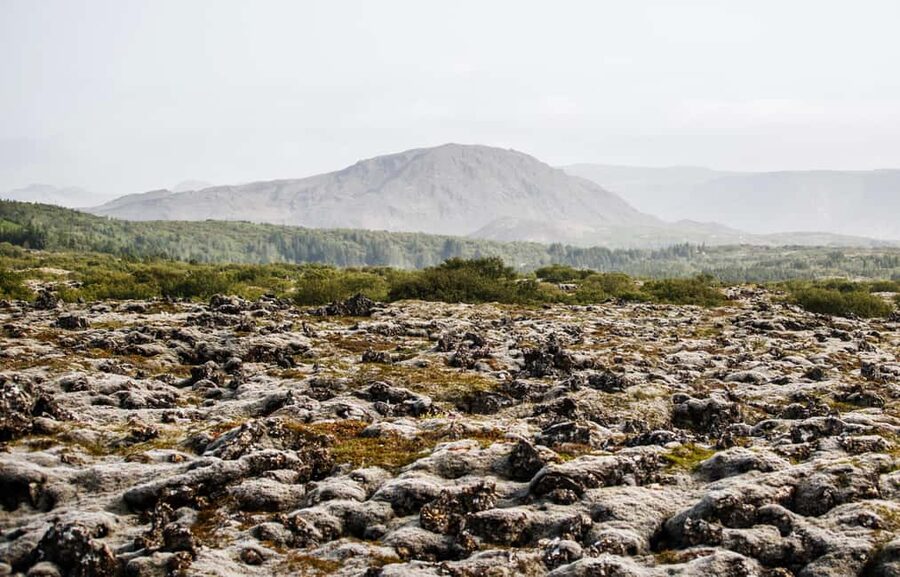 Hafnarfjörður: Horseback Riding Tour in Reykjavik Area - What 50 Minutes Means in Real Life
