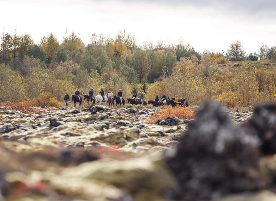 Hafnarfjörður: Horseback Riding Tour in Reykjavik Area - Gear, Warmth, and Why It’s a Value Win