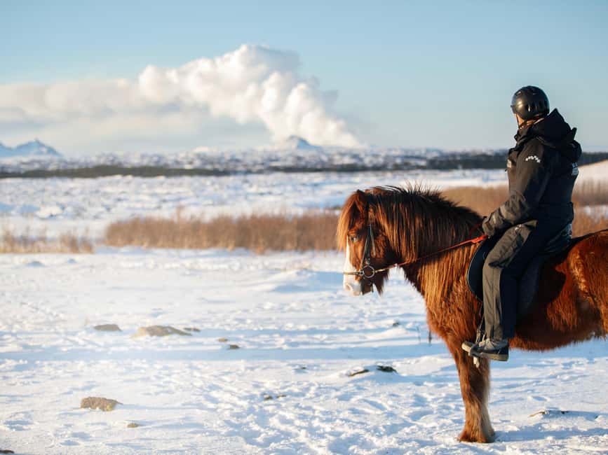 Hafnarfjörður: Horseback Riding Tour in Reykjavik Area - Small Group Comfort Near Reykjavík, Without the Big Tour Hassle