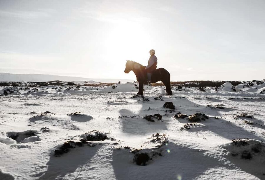 Hafnarfjörður: Horseback Riding Tour in Reykjavik Area - Safety Rules That Keep Things Simple
