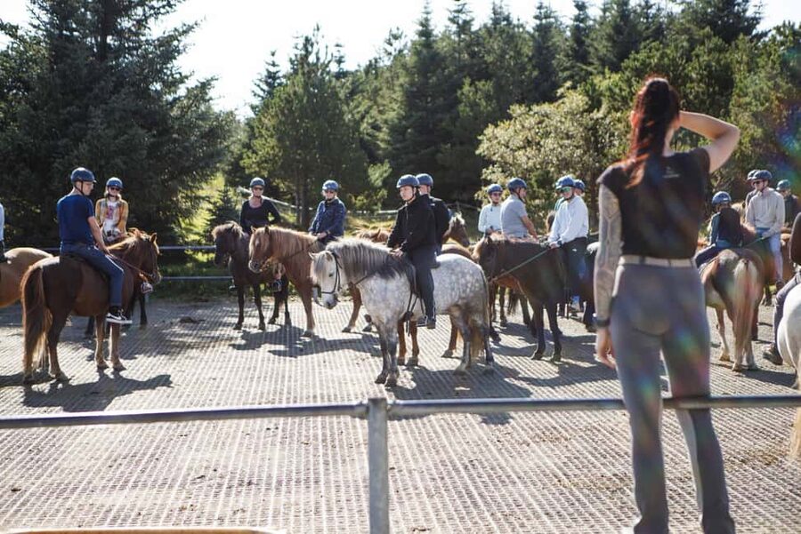 Hafnarfjörður: Horseback Riding Tour in Reykjavik Area - Who This Tour Fits Best