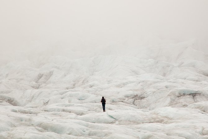 Half-Day Vatnajokull Glacier Small Group Tour from Skaftafell - From Skaftafell Terminal to the ice in about half a day
