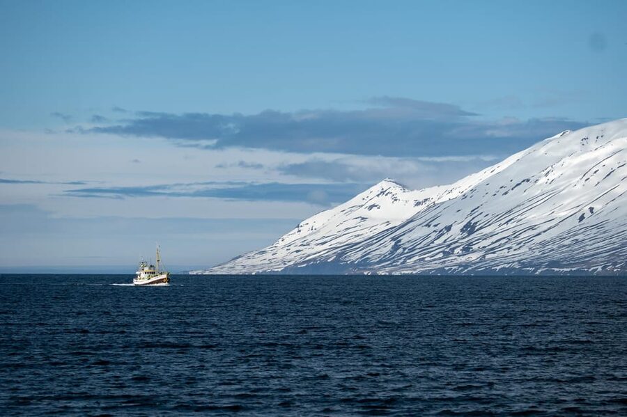 Hauganes: Whale Watching North Iceland - Welcome Refreshments That Make Waiting Feel Worth It