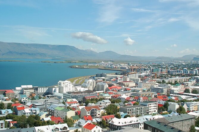 Helicopter tour from Reykjavik: Hengill Area with at site landing - Price, group size, and what you truly get for $599.56