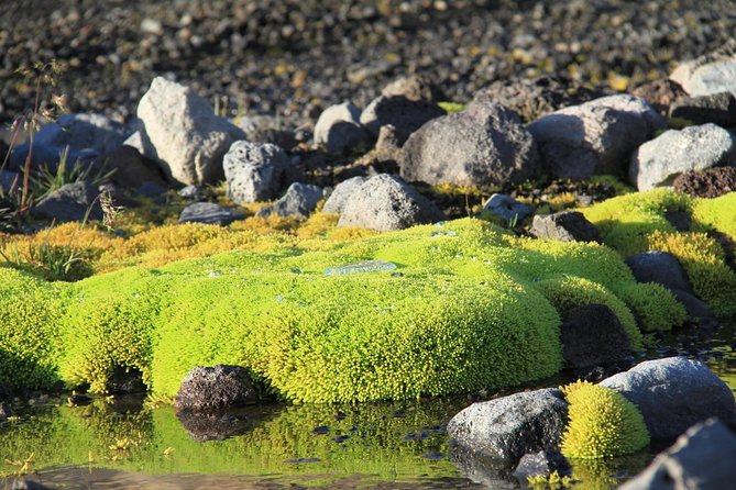 Highlights of Iceland / private guided super Jeep tour - Husafell Break and the Midday Reset