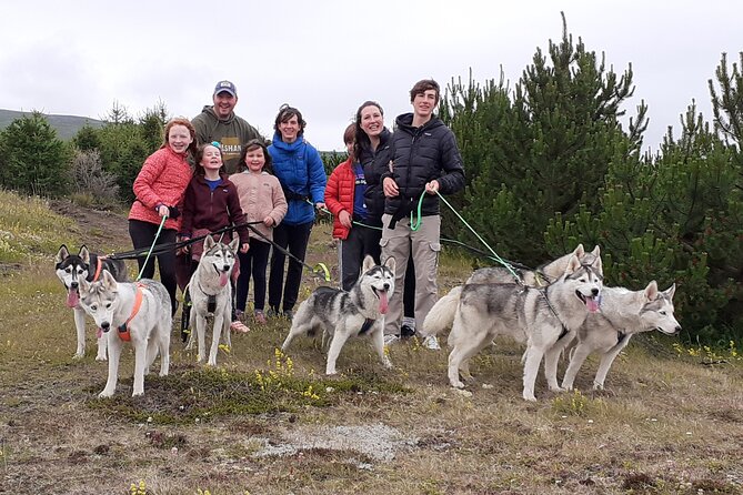 Hiking with Husky in Akureyri - Meeting at Glæsibær 3, where the pack welcomes you