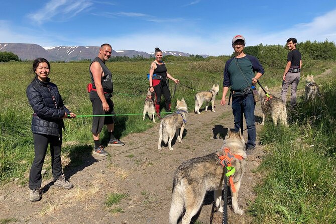 Hiking with Husky in Akureyri - Time for photos and meeting the rest of the pack