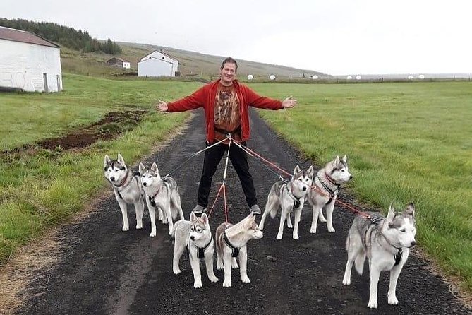 Hiking with Husky in Akureyri (private) - The Woodland Walk: Sea, Countryside, and a Real Outdoors Feel