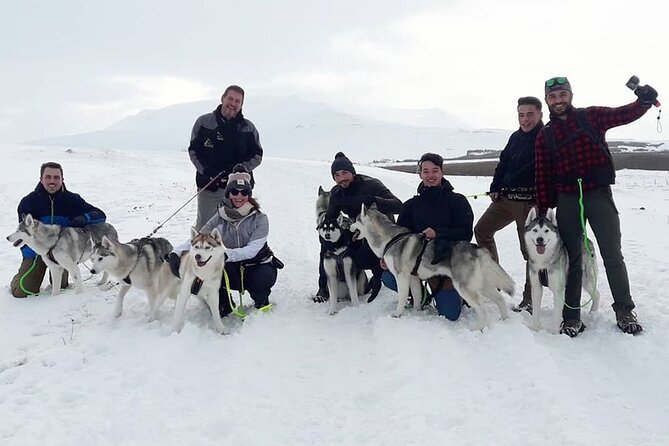 Hiking with Husky in Akureyri (private) - Back at Home: Coffee Break, Dog Stories, and Small Extras