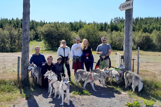 Hiking with Husky in Akureyri (private) - Why This Feels Different From Other Husky Tours