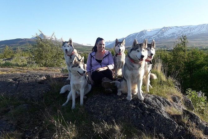 Hiking with Husky in Akureyri (private) - Price and Booking: Is It Worth $1,105.35 per Group?