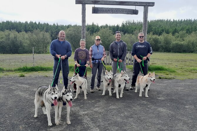 Hiking with Husky in Akureyri - Then comes the hike: husky control, hands-on fun