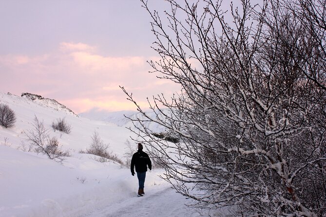 Hire Photographer, Professional Photo Shoot - Reykjavik - Weather, Transport, and Timing You Can Control