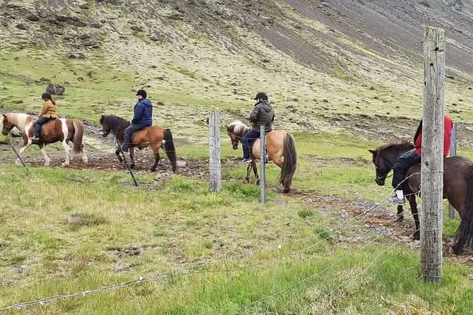 Horse Riding Tour in Reykjadalur (Smoky Valley)-All Riding Levels - Key Details You Should Know Before You Go