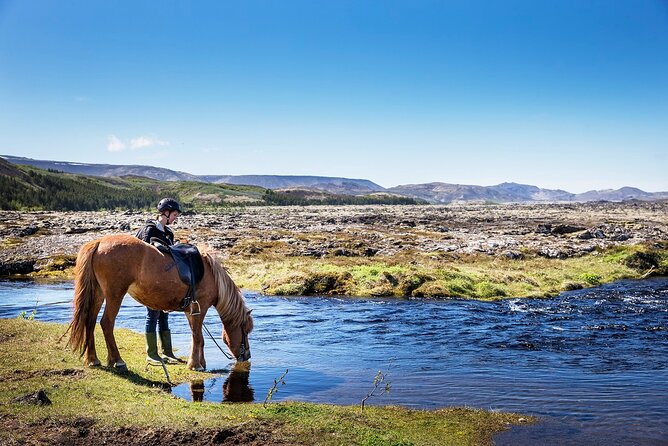 Horseback Riding Tour in Iceland - Quick Takeaways