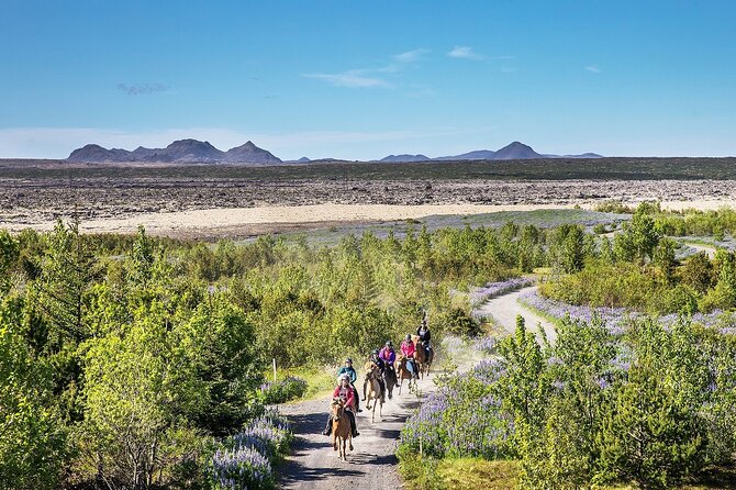 Horseback Riding Tour in Iceland - Why Icelandic Horseback Riding Near Reykjavik Feels Special