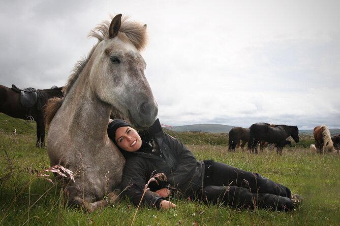 Horseback Riding Tour in Iceland - Learning Icelandic Horse Basics While You Ride