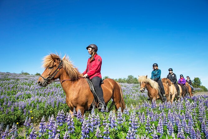 Horseback Riding Tour in Iceland - Who This Ride Best Fits (And Who Might Want Something Else)