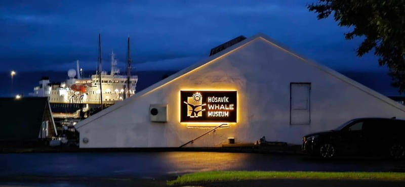 Húsavík: Whale Museum Entry Ticket - Accessibility and planning your route inside the museum
