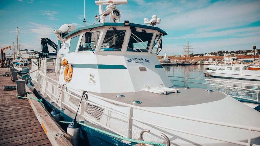 Húsavík: Whale Watching – Family Run with Indoor Seats - The Crew and Guide: Captain Skill Plus Whale Behavior Talk