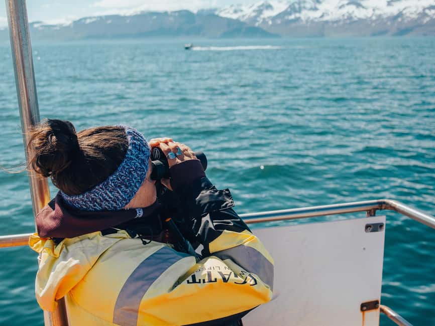 Húsavík: Whale Watching – Family Run with Indoor Seats - Itinerary Breakdown: What Happens Before You Even Leave the Harbor